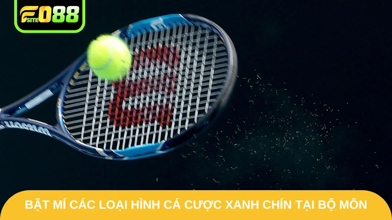 Cá Cược Tennis Fo88 - Sân Chơi Đình Đám Vạn Người Mê 3 Bật mí các loại hình cá cược xanh chín tại bộ môn